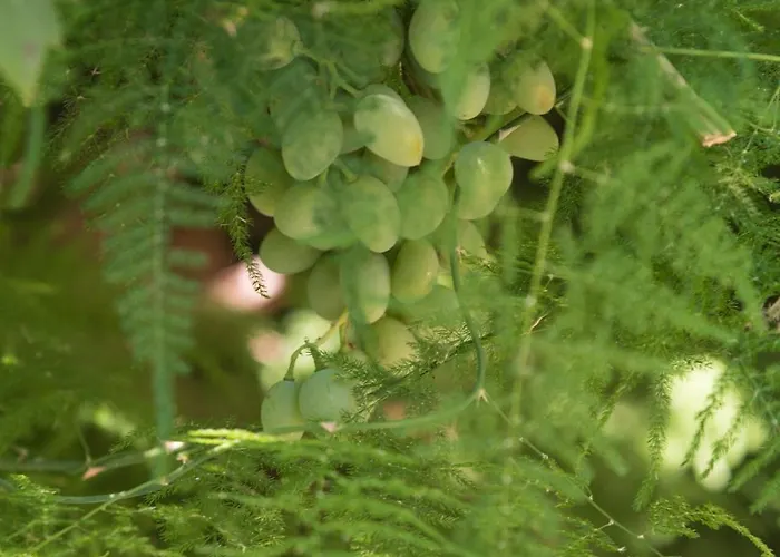 Casa Dina 2 Prázdninový dům